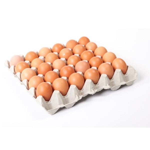 Eggs Free range 600gm (Dozen )